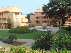 The Apartment Complex