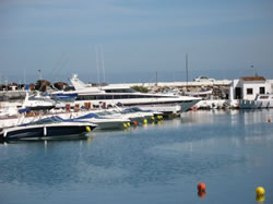 The Marina