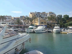The Marina